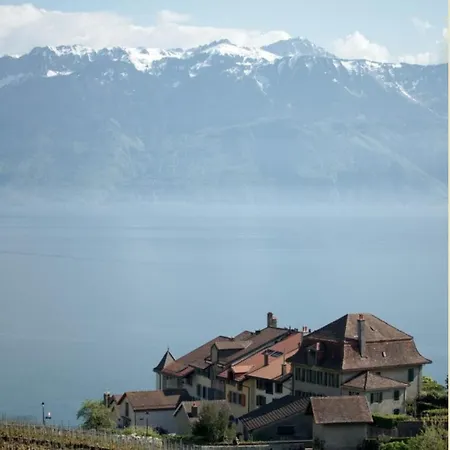 Superbe En Plein Centre A Gare Lausanne