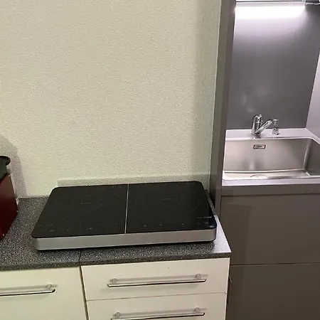 Appartement Superbe En Plein Centre à Gare Lausanne